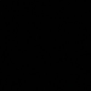 Meet your Posher, Sissy